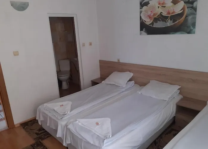 Teo's Guest house Dospat